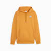 T7 SUPER PUMA Men's Hoodie, Ginger Tea, small-IDN