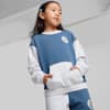 CLASSICS PUMA FC Crew - Kids 4-8 years, Blue Horizon, small-AUS