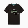Mercedes-AMG Petronas F1® Logo T-Shirt Herren, PUMA Black, small
