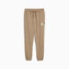 PUMA x PALM TREE CREW Jogginghose Herren, Oak Branch, small