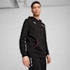 BMW M Motorsport ESS+ Hoodie Men, PUMA Black, small