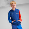 BMW M Motorsport Essentials+ Hoodie Youth, Pro Blue-M Color, small-SEA
