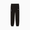 BMW M Motorsport ESS+ Big Kids' Sweatpants, PUMA Black, small