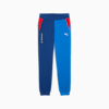 BMW M Motorsport ESS+ Pants Youth, Pro Blue-M Color, small