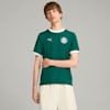 PUMA x PALMEIRAS Ringer Unisex Tee, Malachite, small-AUS