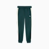 T7 ALWAYS ON Men's Track Pants, Green Terrain-Alpine Snow, small-AUS