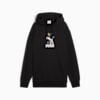 EQUAL LOVE CONFEDERATION Graphic Hoodie Unisex, PUMA Black, small