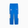 SDS Relaxed Graphic Track Pants Men, PUMA Team Royal, small