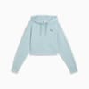 PREMIUM Essentials Relaxed Graphic Hoodie Women, Modern Mint, small
