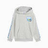 Hoodie PUMA x HOT WHEELS Anak-anak, Light Gray Heather, small-IDN