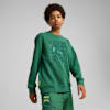 PUMA x TMNT Relaxed Graphic Crew Youth, Vine, small-AUS