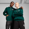 PUMA x HARRY POTTER Unisex Relaxed Hoodie, Dark Myrtle, small-AUS