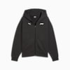 F1® Men's Graphic Fullzip Hoodie, PUMA Black, small-AUS