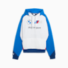 BMW M Motorsport Lifestyle Hoodie Herren, Pro Blue-M Color, small