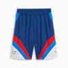BMW M Motorsport Lifestyle Shorts Men, Pro Blue-M Color, small