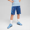 BMW M Motorsport Sweat Shorts Youth, Pro Blue-M Color, small-SEA