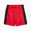 Rival Rage Heritage Mesh Basketball Shorts - Youth 8-16 years, For All Time Red, small-AUS