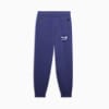 PUMA x Schomburg Men's Sweatpants, Blue Crystal, small