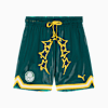 PUMA HOOPS x SE PALMEIRAS Basketball Shorts Men, Malachite-Jade Green-AOP, small