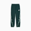 PUMA HOOPS x HARRY POTTER™ Sweatpants Women, Green Terrain-heather, small