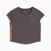 Dusky Gray