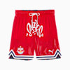 PUMA HOOPS x FC Red Bull Salzburg Shorts Herren, PUMA Red-Navy-AOP, small