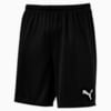 ftblPLAY Men's Shorts, Puma Black, small-SEA