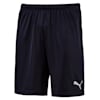 ftblPLAY Men's Shorts, Puma New Navy, small-THA