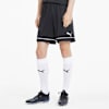 GOAL Knitted Training Men's Shorts, Puma Black-Puma White, small-SEA