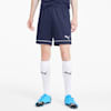 GOAL Knitted Training Men's Shorts, Peacoat-Puma White, small-SEA