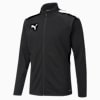 teamLIGA Training Football Jacket Men, Puma Black-Puma White, small-SEA
