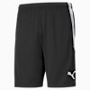 teamLIGA Training Football Shorts Men, Puma Black-Puma White, small-SEA
