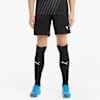 teamLIGA Training Football Shorts Men, Puma Black-Puma White, small-SEA