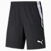 teamLIGA Training Men's Football Shorts, Puma Black-Puma White, small-SEA