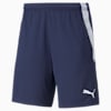teamLIGA Training Men's Football Shorts, Peacoat-Puma White, small-PHL