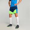 Persian Blue-Pro Green