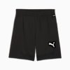 teamFINAL Men's Football Training Shorts, PUMA Black-PUMA Silver, small-SEA