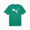 teamRISE Logo Cotton Men's Football Jersey, Sport Green-PUMA White, small-THA