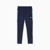 teamCUP Football Pants Men, PUMA Navy-PUMA Silver-Blue Horizon, small-SEA