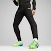 individualLIGA Training Pants Men, PUMA Black-Fizzy Apple, small