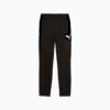 individualLIGA Men's Training Pants, PUMA Black-PUMA White-Ultra Blue, small-AUS