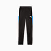 individualLIGA Training Pants - Youth 8-16 years, PUMA Black-PUMA White-Ultra Blue, small-AUS