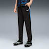 individualLIGA Training Pants - Youth 8-16 years, PUMA Black-PUMA White-Ultra Blue, small-AUS