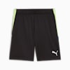 individualLIGA Training Shorts Men, PUMA Black-Fizzy Apple, small