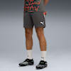individualLIGA Trainingsshorts Herren, Shadow Gray-PUMA White-Glowing Red, small