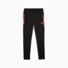 IndividualCUP Men's Football Pants, PUMA Black, small-AUS
