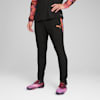 IndividualCUP Football Pants Men, PUMA Black, small