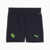 PUMA x CHRISTIAN PULISIC Chasing the Dream Big Kids' Training Shorts, New Navy, small
