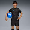 individualCUP Football Jersey - Youth 8-16 years, PUMA Black-PUMA White-Ultra Blue, small-AUS