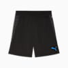 individualCUP Men's Football Training Shorts, PUMA Black-PUMA White-Ultra Blue, small-AUS